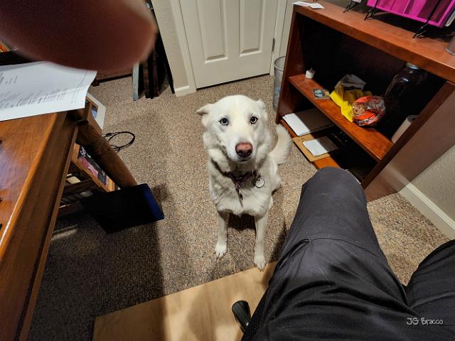 20220625_225932.jpg