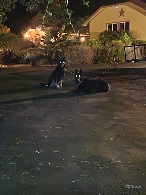 20220823_225158.jpg