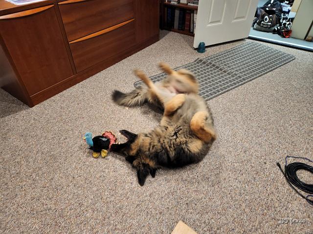 20220901_230148.jpg