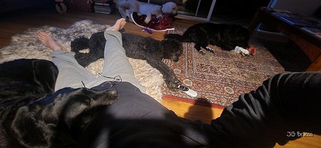 20240129_002119.jpg